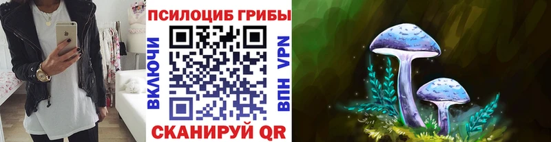 Псилоцибиновые грибы мицелий купить Светлогорск