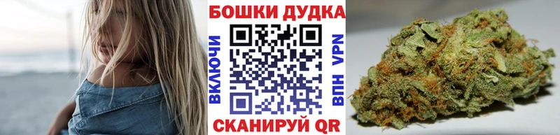 Канабис сатива  площадка наркотические препараты  Светлогорск 